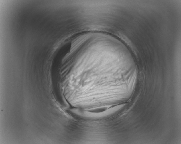 X0000070160577200606231857