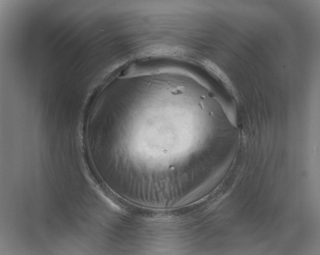 X0000070160581200606231857