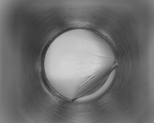 X0000070160582200606231857
