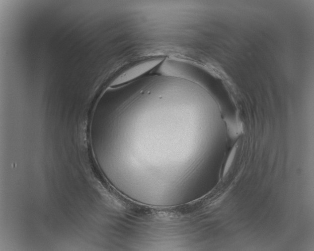 X0000070160585200606231857