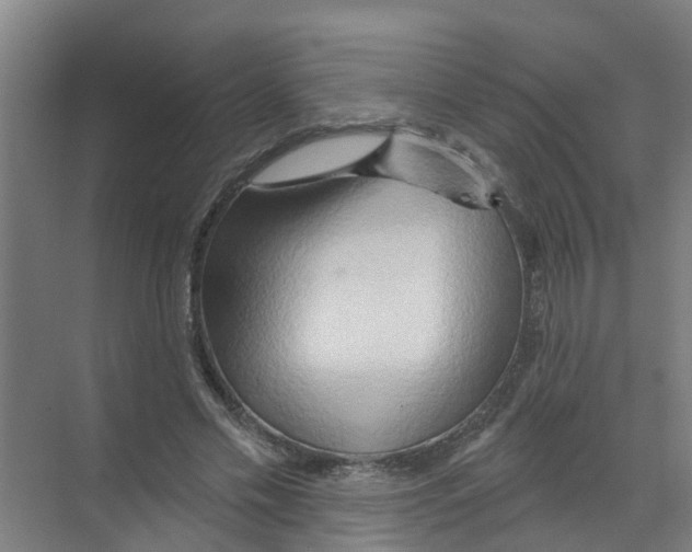 X0000070160589200606231857