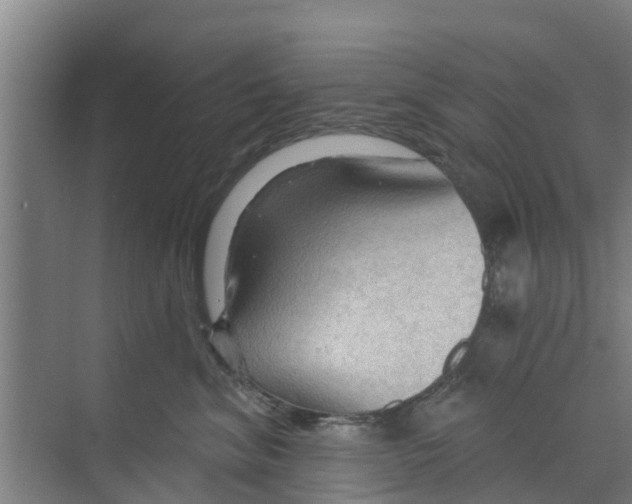 X0000070160620200606231856