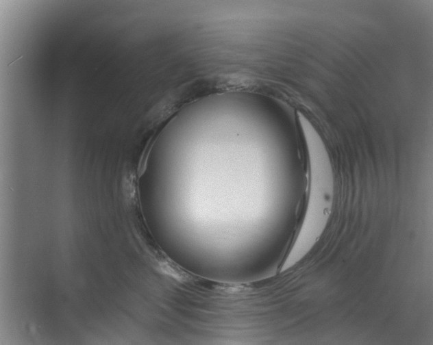 X0000070160621200606231856