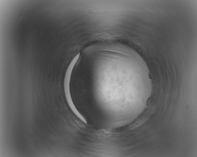 X0000070160624200606231856