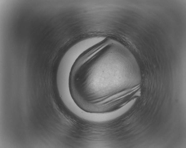X0000070160643200606231856