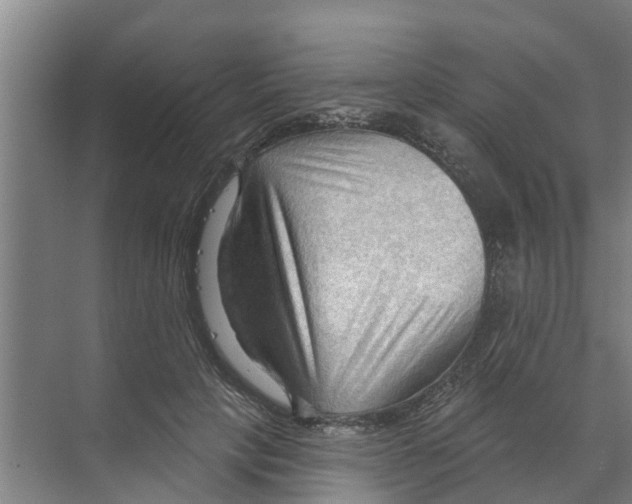 X0000070160649200606231856