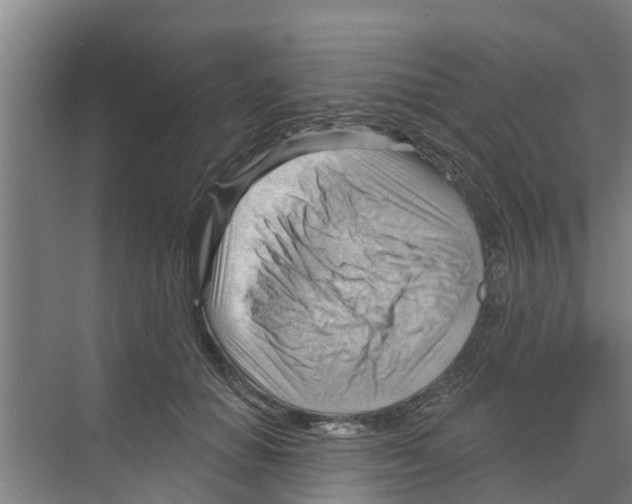 X0000070160654200606231856