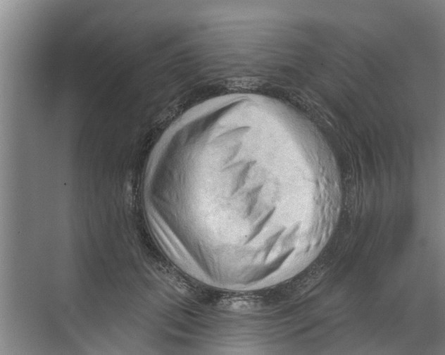 X0000070160655200606231856