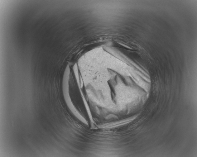 X0000070160661200606231856