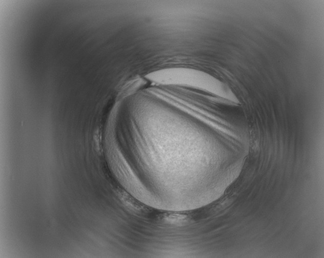 X0000070160669200606231856