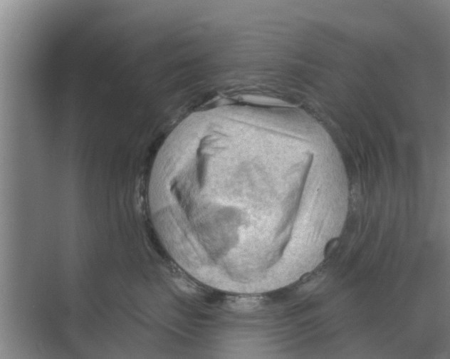 X0000070160671200606231856