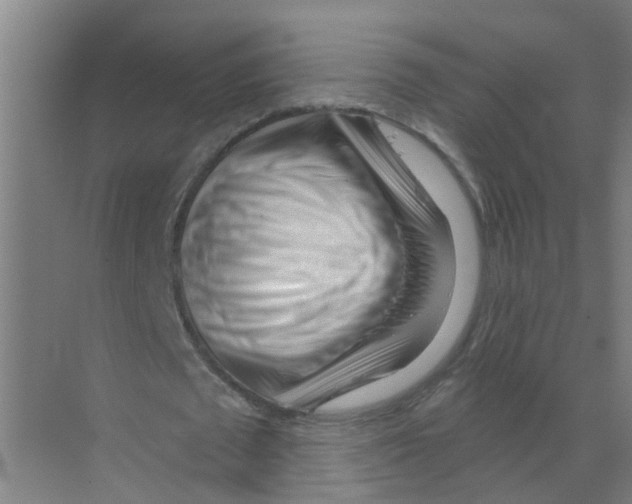 X0000070160673200606231855