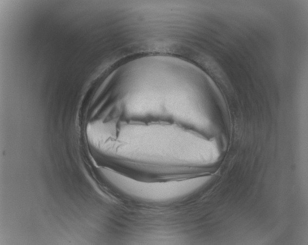 X0000070160674200606231855