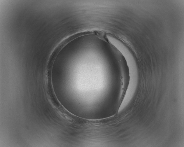 X0000070160676200606231855