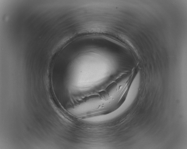 X0000070160677200606231855