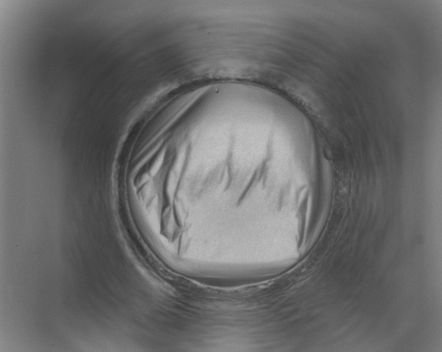 X0000070160678200606231855