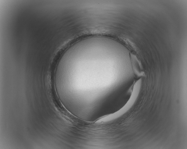 X0000070160684200606231855