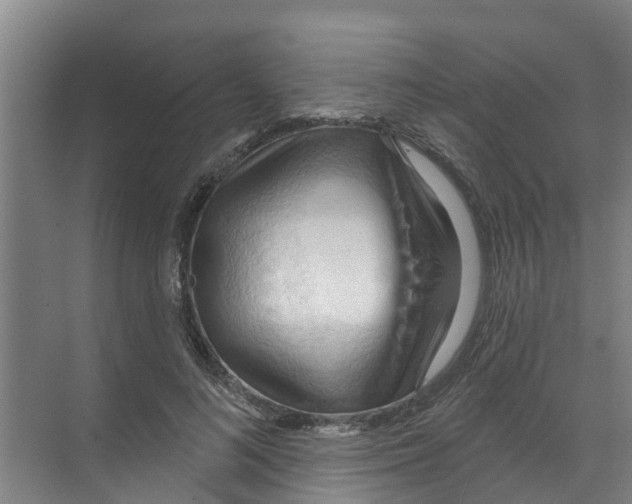 X0000070160692200606231855