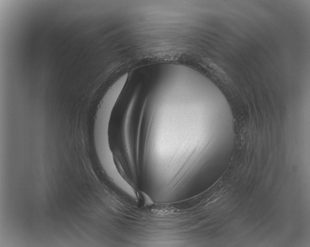 X0000070160693200606231855