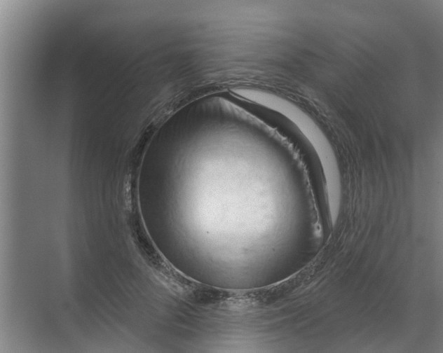 X0000070160696200606231855