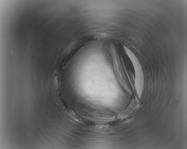 X0000070160716200606231855