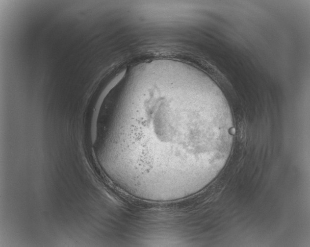 X0000070160733200606231854