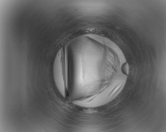 X0000070160754200606231854