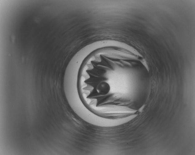 X0000070160766200606231855