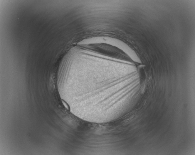X0000070160772200606231854