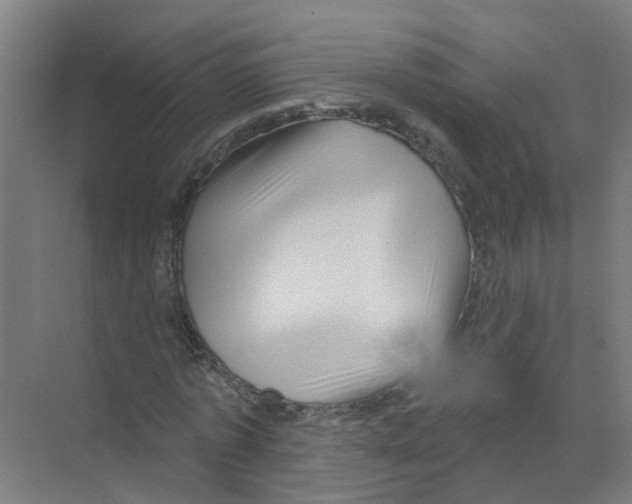 X0000070160773200606231854