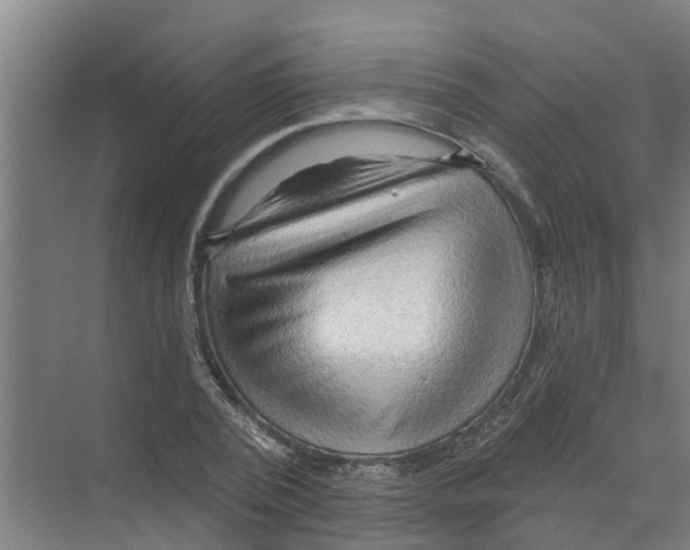 X0000070160784200606231854