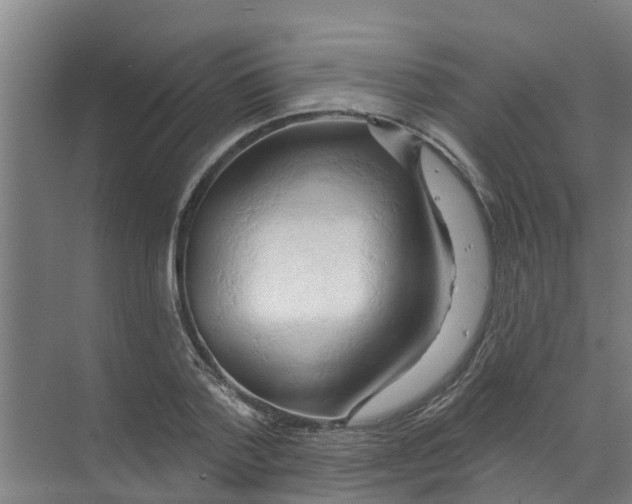 X0000070160788200606231854