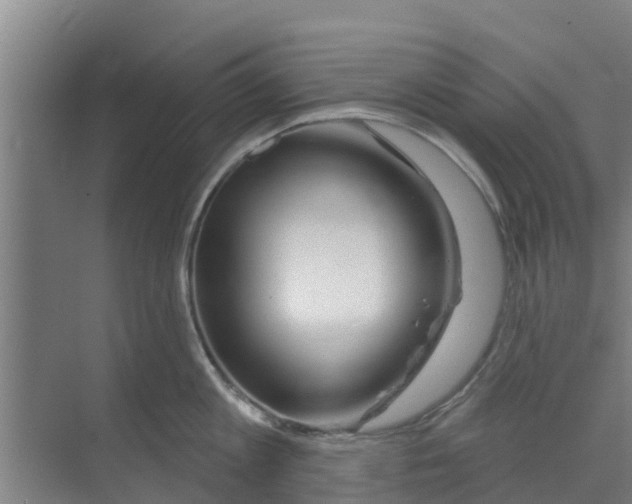 X0000070160813200606231853