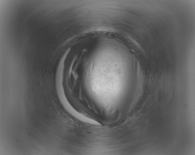 X0000070160821200606231852