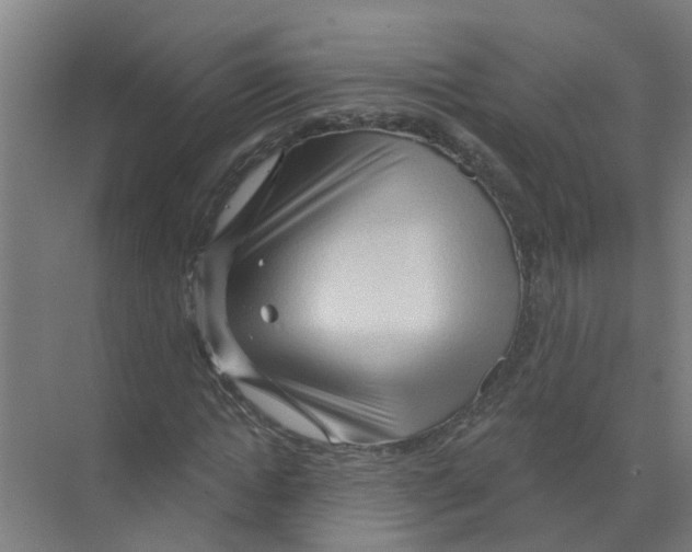 X0000070160822200606231852