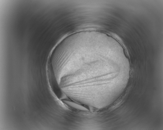 X0000070160859200606231853