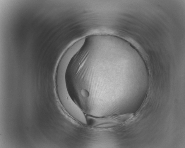 X0000070160864200606231853
