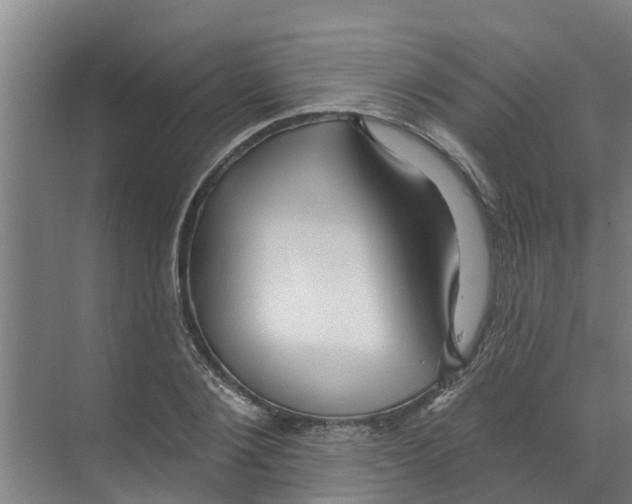 X0000070160884200606231852