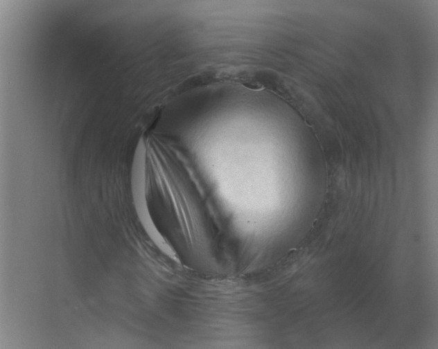 X0000070160914200606231851
