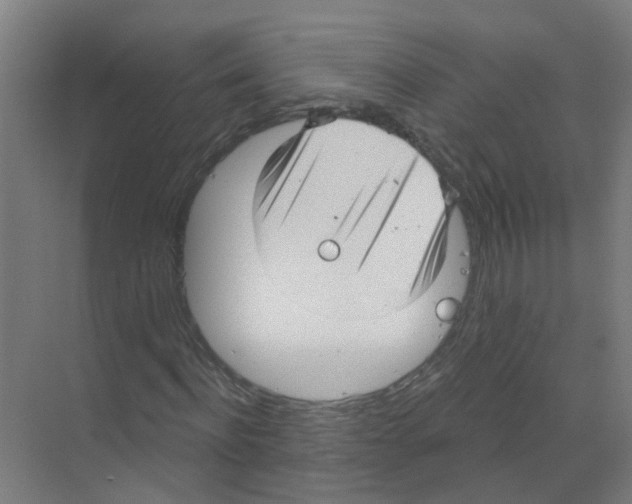 X0000070160916200606231851