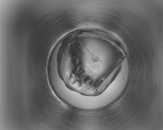 X0000070160943200606231851