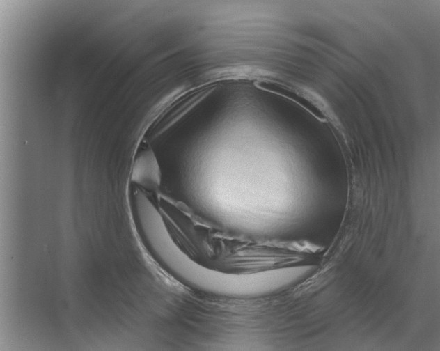 X0000070160946200606231851