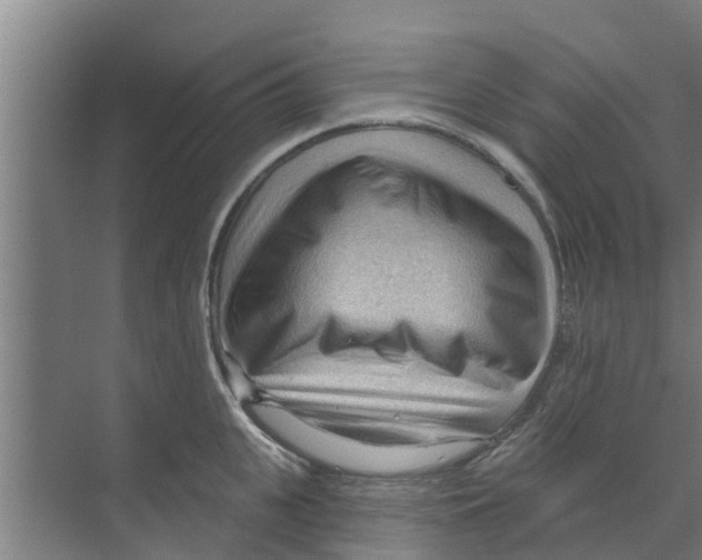 X0000070160951200606231851