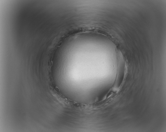 X0000070160961200606231851