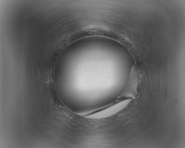 X0000070160965200606231851