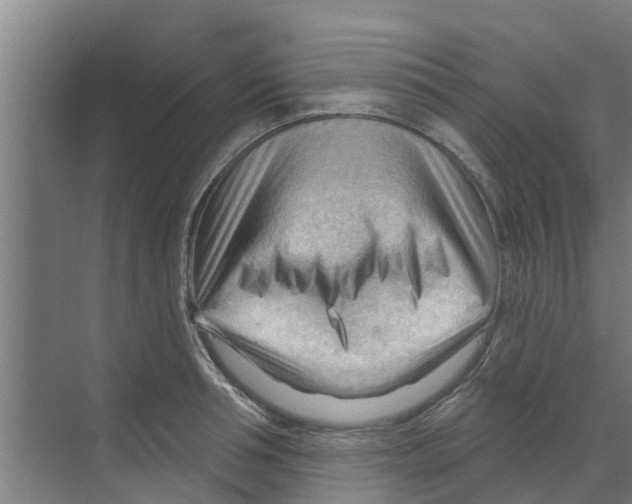 X0000070160994200606231850
