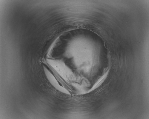 X0000070161013200606231849