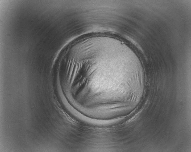 X0000070161021200606231849