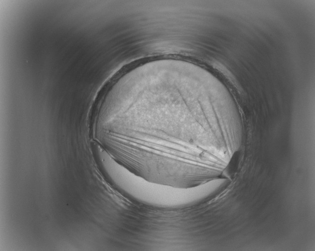 X0000070161023200606231849