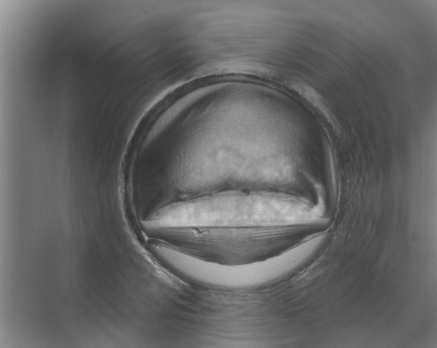 X0000070161024200606231849
